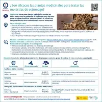 ¿Son eficaces las plantas medicinales para tratar las molestias de estómago?